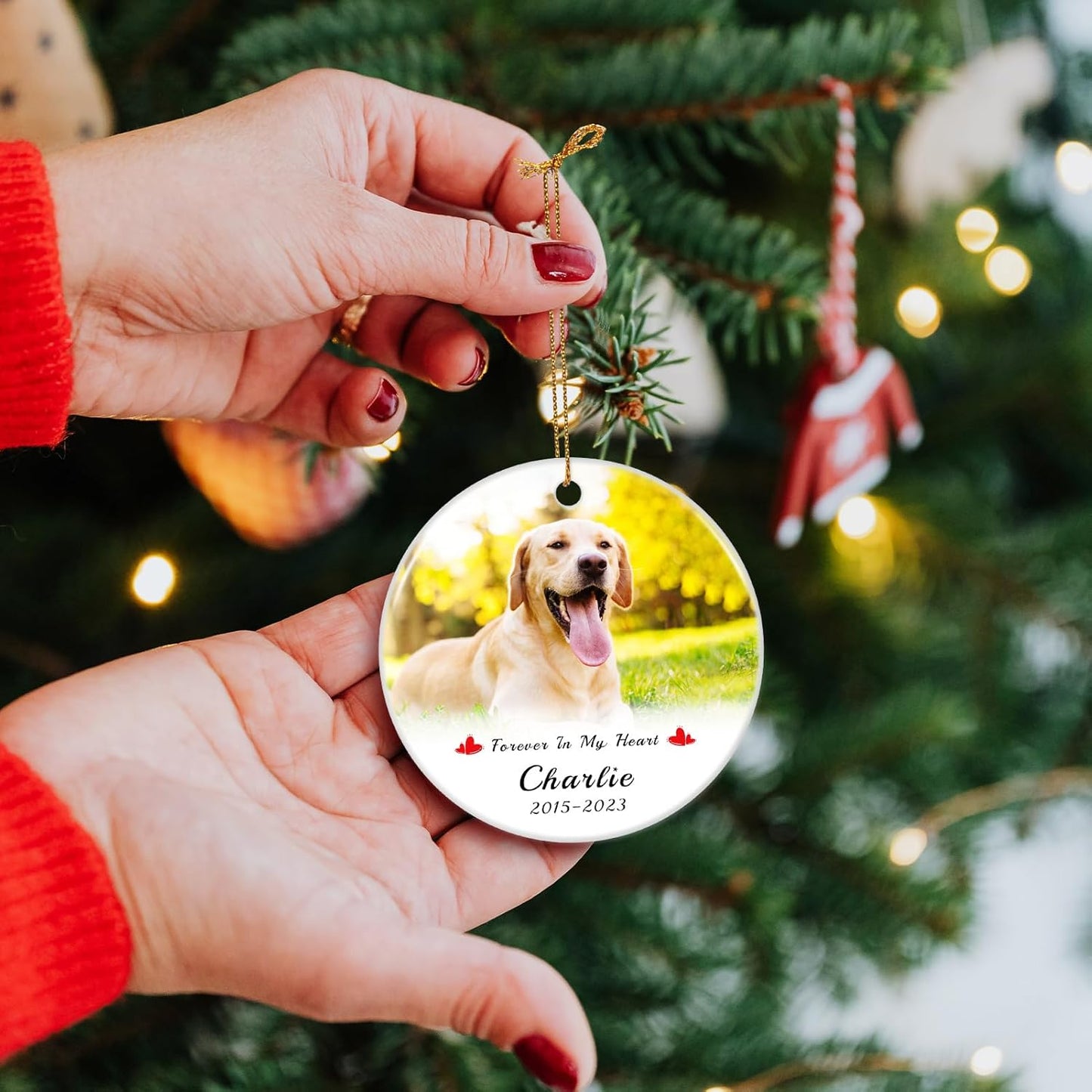 Personalized Pet Memorial Gifts, Custom Photo, Name & Dates, Dog Memorial Gifts for Loss of Dog, Cat, Customized Sympathy Keepsake Ornament 2025