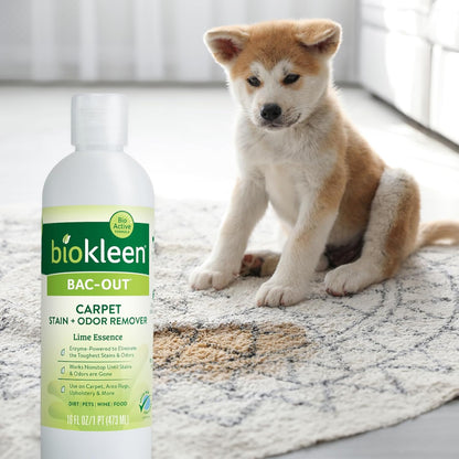 Biokleen Bac-Out Enzymatic Stain & Odor Remover for Carpet - Removes Stains and odors caused by dirt, pet accidents, wine, food, smoke - 2 Pack 32 oz w/Micro Cleaning Towel