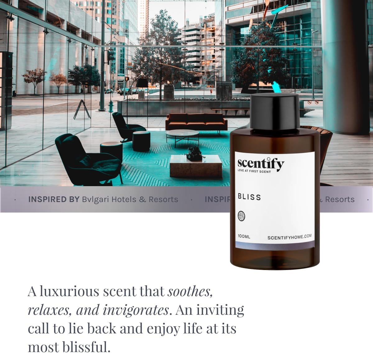 Scentify Bliss Aroma Oil Refill Scent for Oil Diffusers - Eucalyptus, Bergamot, Tea & Powdery Scents - Luxurious Relaxing Aromatherapy Diffuser Fragrance 100ml, 3.38 oz