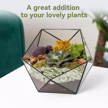 2.5LB Succulent and Cactus Pebbles, 1/5 Inch Jade Pebbles for Indoor Plants, Decorative Gravel for Vases, Bamboo, Succulent, Terrarium, Crafts, Cactus