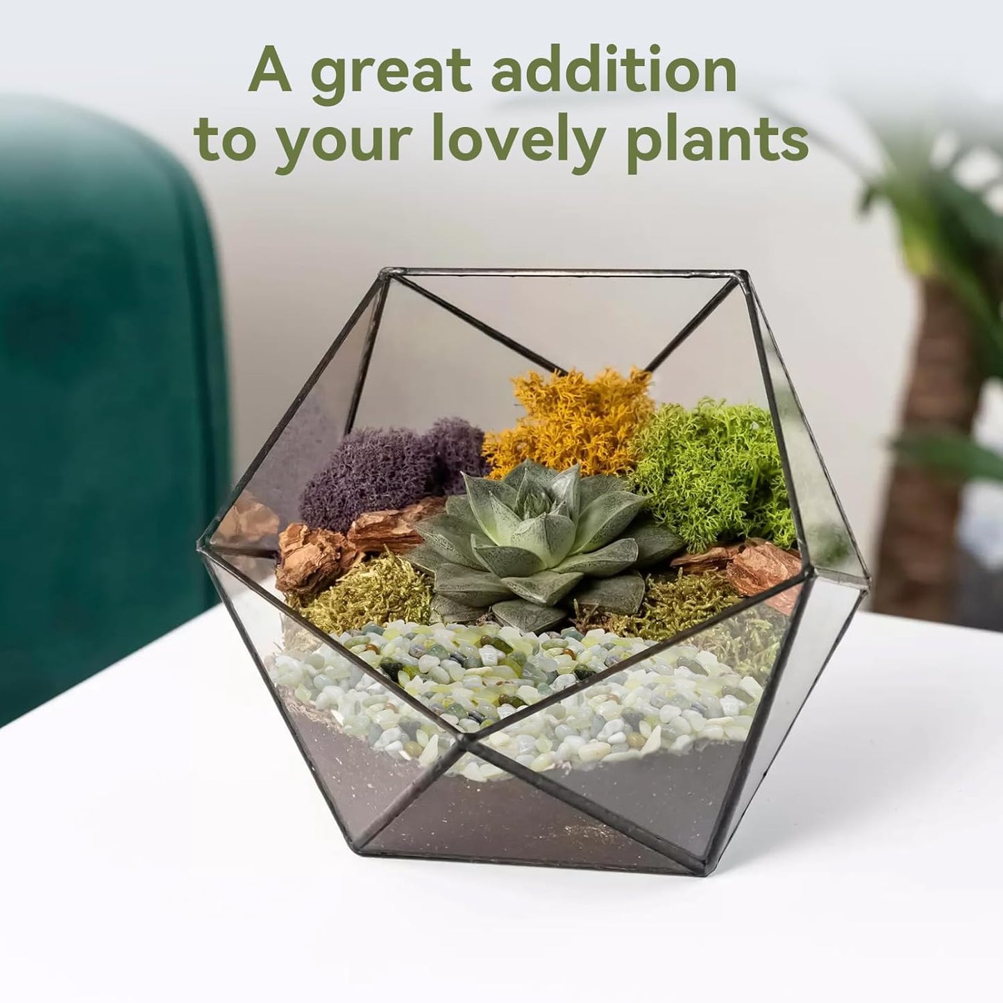 5LB Succulent and Cactus Pebbles, 1/5 Inch Jade Pebbles for Indoor Plants, Decorative Gravel for Vases, Bamboo, Succulent, Terrarium, Crafts, Cactus