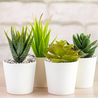 5 lbs Small Rocks for Plants, 1/5 Inch Pebbles for Indoor Plants, Natural Decorative Pea Gravel for Aquarium, Fish Tank, Terrarium, Succulents, Bamboo Plants, Vases, Cactus, Crafts