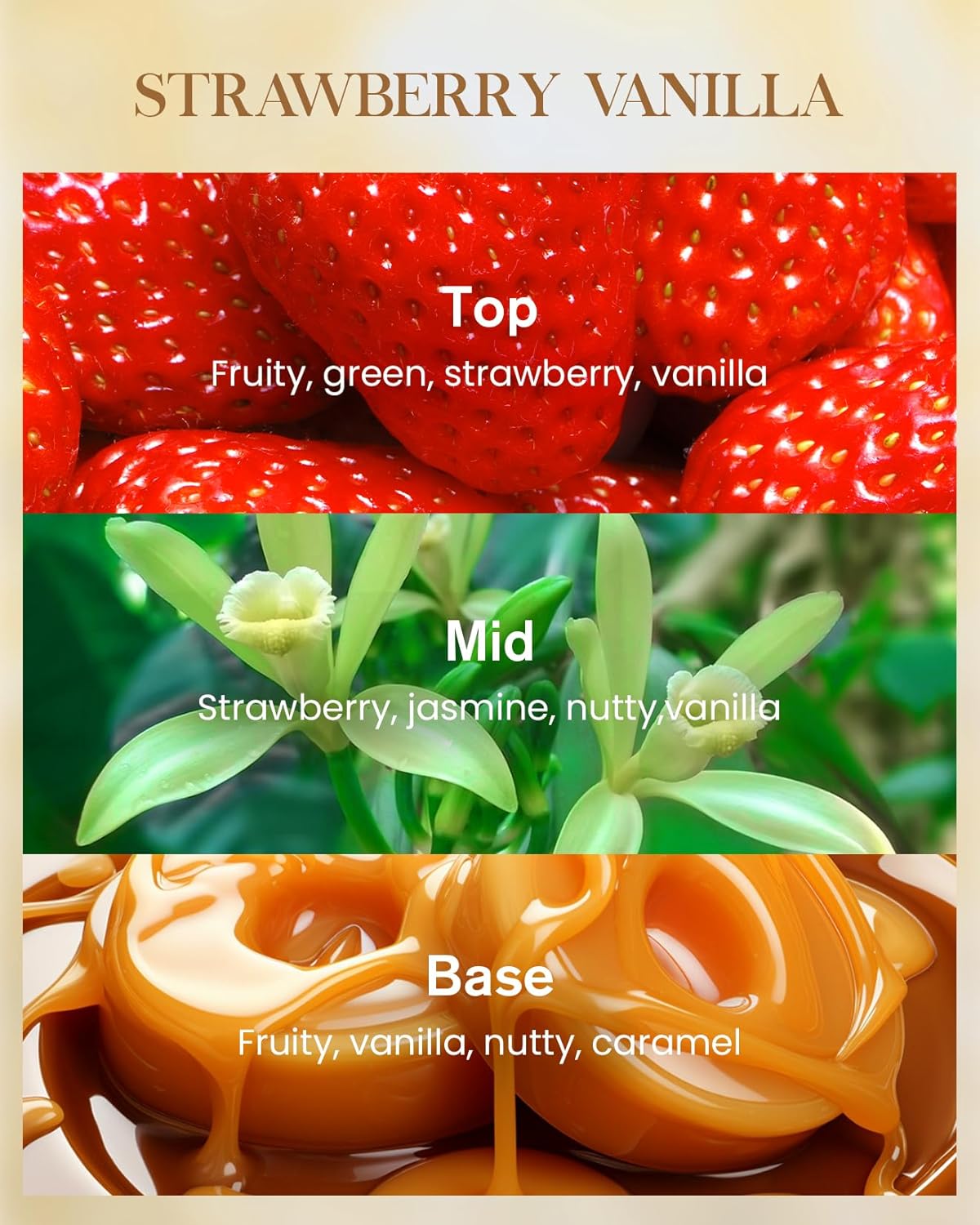 M&SENSE Strawberry Vanilla Scented Natural Soy Wax Candle, 14.1oz 60 Hours Long Lasting Slow Burning Candles for Home Decor, Aromatherapy Candle for Stress Relief