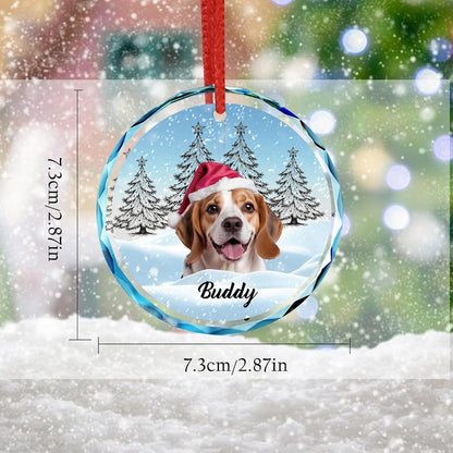 Personalized Photo Crystal Ornament, 2025 Custom Pet Engraved Christmas Keepsake, Memorial Gift for Dog, Cat