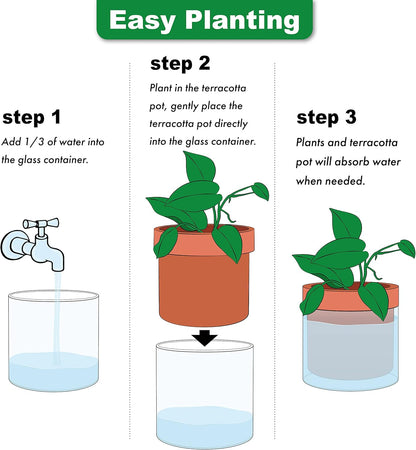 Phoenix Vine 4 Inch 6 Inch Self Watering Planter Pots, Terracotta Clay Pots with Glass Reservoir for Indoor Plants, Herbs, Flowers, 52-A-G-46