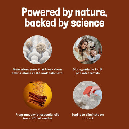 Sunny & Honey Pet Stain Remover & Enzyme Cleaner - 32 Fl Oz, Fall Spice - Carpet Deodorizer & Urine Odor Eliminator for Dog Pee, Cat Urine, Upholstery & Furniture