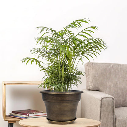 Plant Planters Pots Set of 6 Pack 6 Inch, Plastic Flower Pot for Indoor Plants with Drainage Holes & Trays, Resin Decorative Container Sets with Saucer for House Outdoor Garden Planters Dark Gold