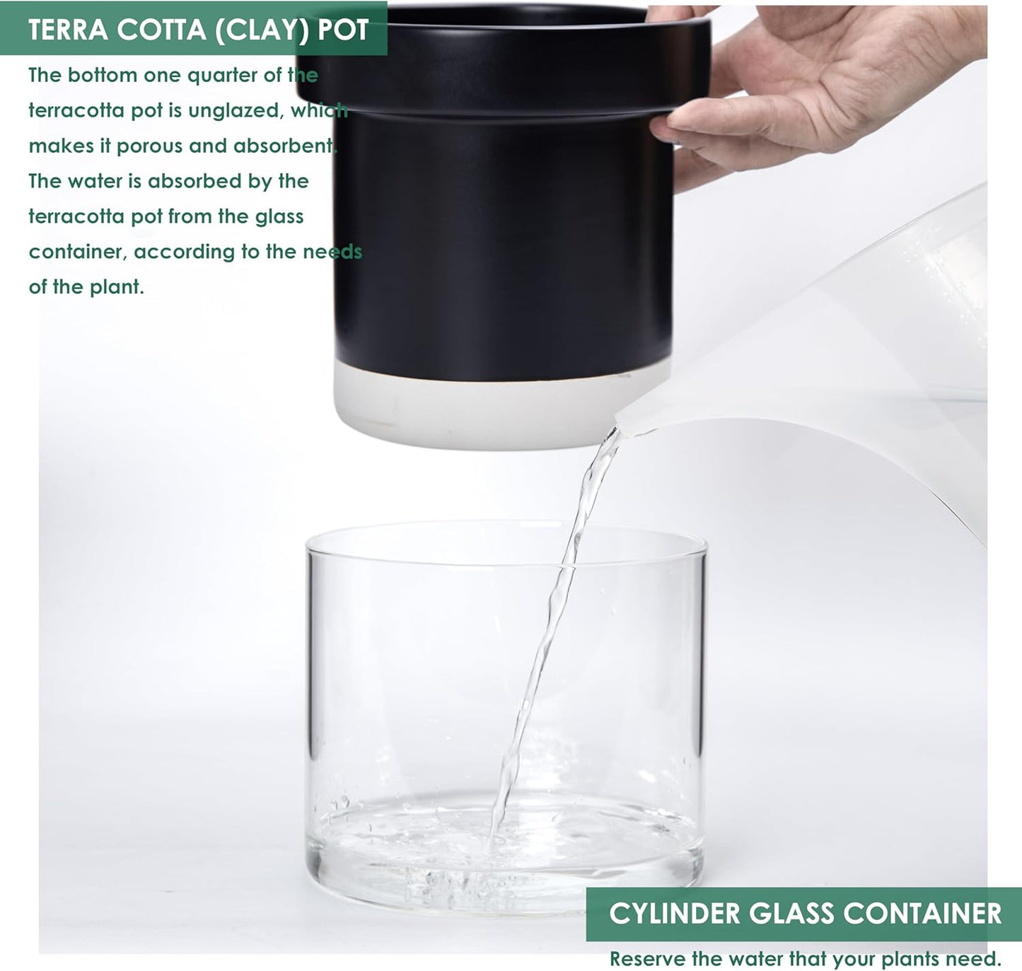 Phoenix Vine 6 Inch Self Watering Terracotta Planter, Black Terracotta Clay Pot with Glass Reservoir for Indoor Plants, Herbs, Flowers, Set of 1, 52-C-F-1