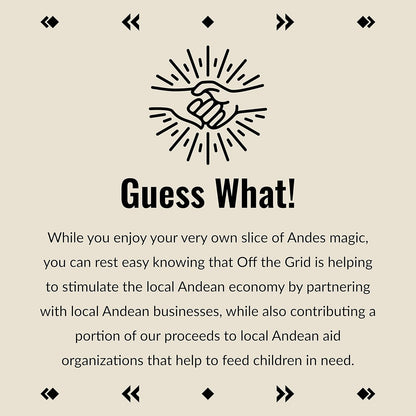 Inca Aztec Throw, Queen, King Blanket | Southwest Indian Navajo Boho Style | Native Cover for Camping, Bedding, Couch, Vanlife | Faux Alpaca, Lightweight, Hypoallergenic (Condor Gray, Queen)