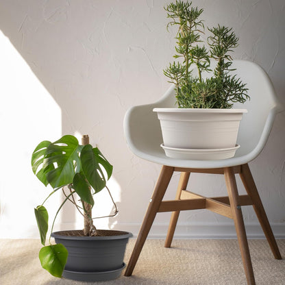 6 Pack 10 inch Plant Pot, Outdoor Pots for Plants with Drainage Hole & Tray Saucer, Round Plastic Plant Pot, Decoration Flower Pots for Indoor Plants Home Garden Outdoor Planters (Beige)