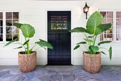 KOUBOO Madras Planter Basket, Plant Container, Tree Planter, Basket Front Door, Decorative Plants Pot, Woven Options for Every Space, Dark Brown, Large