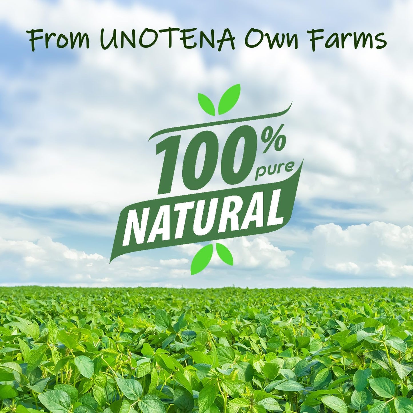 UNOTENA Soy Wax Flakes for Candle Making, Natural Candle Wax, Farm-Sourced, No Additives, Safe and Pure, 0.5LB