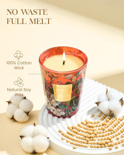 M&SENSE Wild Cherry Scented Candle, Natural Soy Wax Candles 14.1oz 60H Slow Burning Non Toxic, Stress Relief Romantic Gifts for Women Home Decor