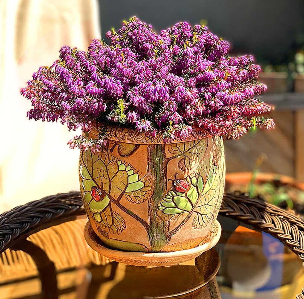 Ceramic Pot with Drainage Hole and Saucer, Plant Pots, Modern Decorative Planters for House Plants Indoor Flowers Plants, Cute Flower Pot - Gifts (Ladybugs (3 L))