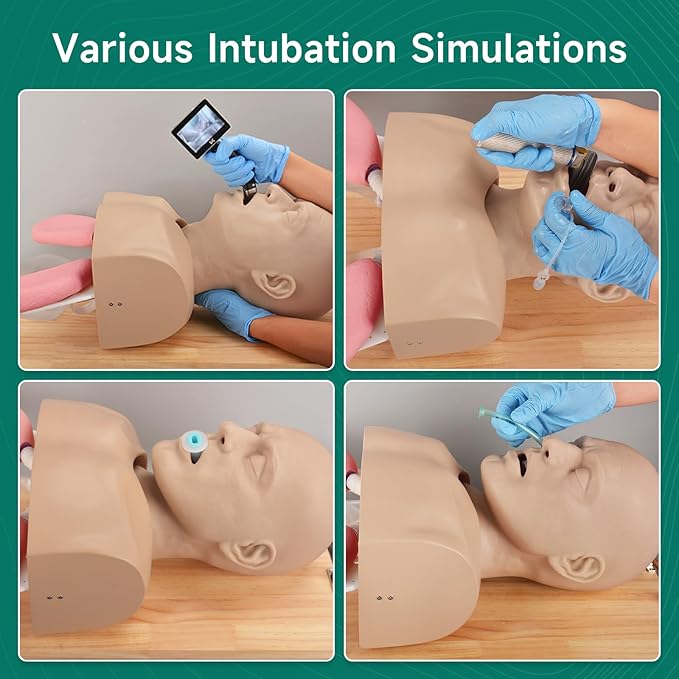 Adult Airway Management Trainer Kit, Intubation Manikin Head with Full-Featured Airway Simulation for EMS Training, Intubation & Ventilation
