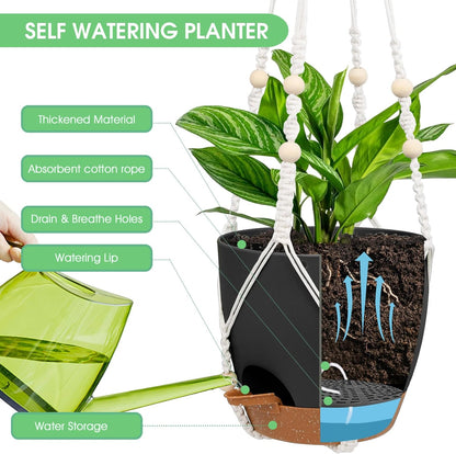 Hanging Planters for Indoor Outdoor Plants, 2 Pack Self Watering Hanging Pots, Hanging Plant Baskets with Drainage Holes & 2 Types of Plant Hangers (Black, 6'')