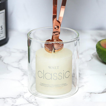 Lsnisni 4 in 1 Champagne Gold Candle Accessory Set with Candle Storage Tray Plate, Wick Trimmer Cutter, Candle Snuffer and Candle Wick Dipper, Steel Candle Care Kit with Gift Package for Candle Lover