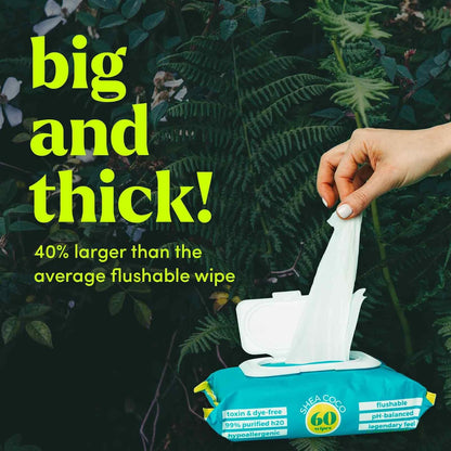 goodwipes Flushable Butt Wipes - Vitamin E & Aloe - Soft & Gentle Wet Wipe Dispenser, Septic & Sewer Safe - Largest Adult Toilet Towelettes - Shea-Coco, 180 Count (3 Packs) + 3 Individually Wrapped