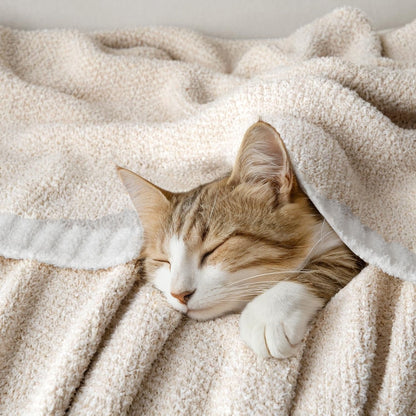 MIULEE Cream Super Soft Throw Blanket for Couch, Cozy Fluffy Warm Throws Knit Blankets for Sofa, Bed, Chair, Living Room, Camping, Picnic, 50 x 60 inch