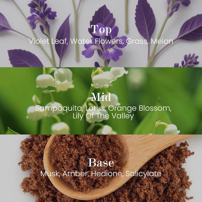 M&SENSE Natural Soy Candle| Forest Lodge | 16.6 oz, 95H Burn | Minimalist Scented Candle for Relaxation, Gifting, Home Décor | for Bedroom, Office, Party Large