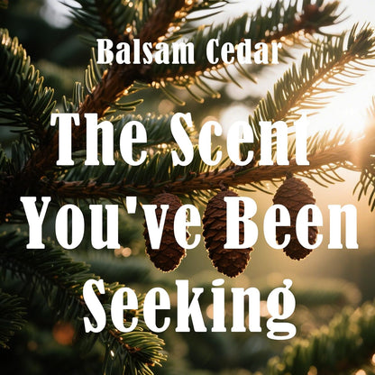 Balsam & Cedar Scented Candles, Soy Scented Candle for Home Large Jar Candle, Aromatherapy Candle Over 60 Hours Christmas Candles Ideal Holiday Gift