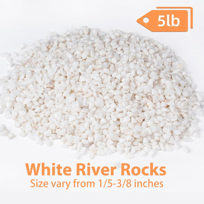 5 lbs White Aquarium Gravel, 1/5 Inch White Rocks for Plants, Small Pebbles for Vases, Succulents, Bamboo, Natural Decorative Pebbles for Plants Drainage, Cactus, Crafts