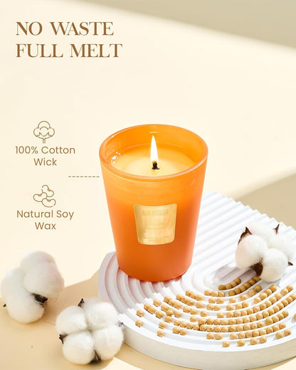 M&SENSE Sunset Mandarin Scented Natural Soy Wax Candle, 14.1oz 60 Hours Long Lasting Slow Burning Candles for Home Decor, Aromatherapy Candle for Stress Relief