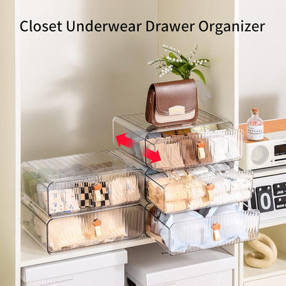 Underwear Organizer for Closet, Acrylic Socks Bra Underwear Drawer Organizer with Dividers, 24 Cell Stackable Closet Organizer and Storage Drawer for Clothing, Baby Clothes, Bra, Ties, Scarf