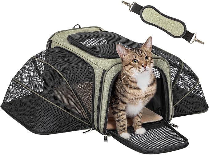 Petsfit Expandable Rabbit Carrier Bunny Carriers, 16 Inch Airline Approved Pet Carrier with 2 Extensions, Soft Washable Cushion, Self-Locking Zipper Head, Built-in Safety Rope, Fit for Travel