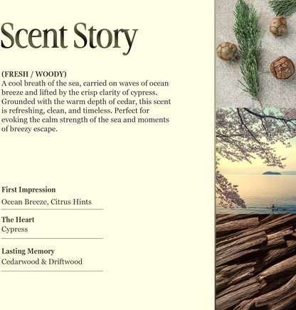 Scented Luxury Candles in Handmade Ceramic Jars, Soy Wax | Day On The Sea – Cypress & Cedar, Large Candle | Non Toxic, 2 Wicks, Reusable Big Blue Jar | Natural Spring Aromatherapy for Women & Men