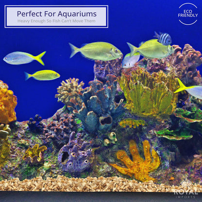 Royal Imports 5LBS River Pebbles Decorative Ornamental Rocks, Garden Landscaping Stones, Gravel Filler for Plants, Vases, Succulents, Home Decor, Aquariums, Crafting, Animal Habitat - Mini Natural