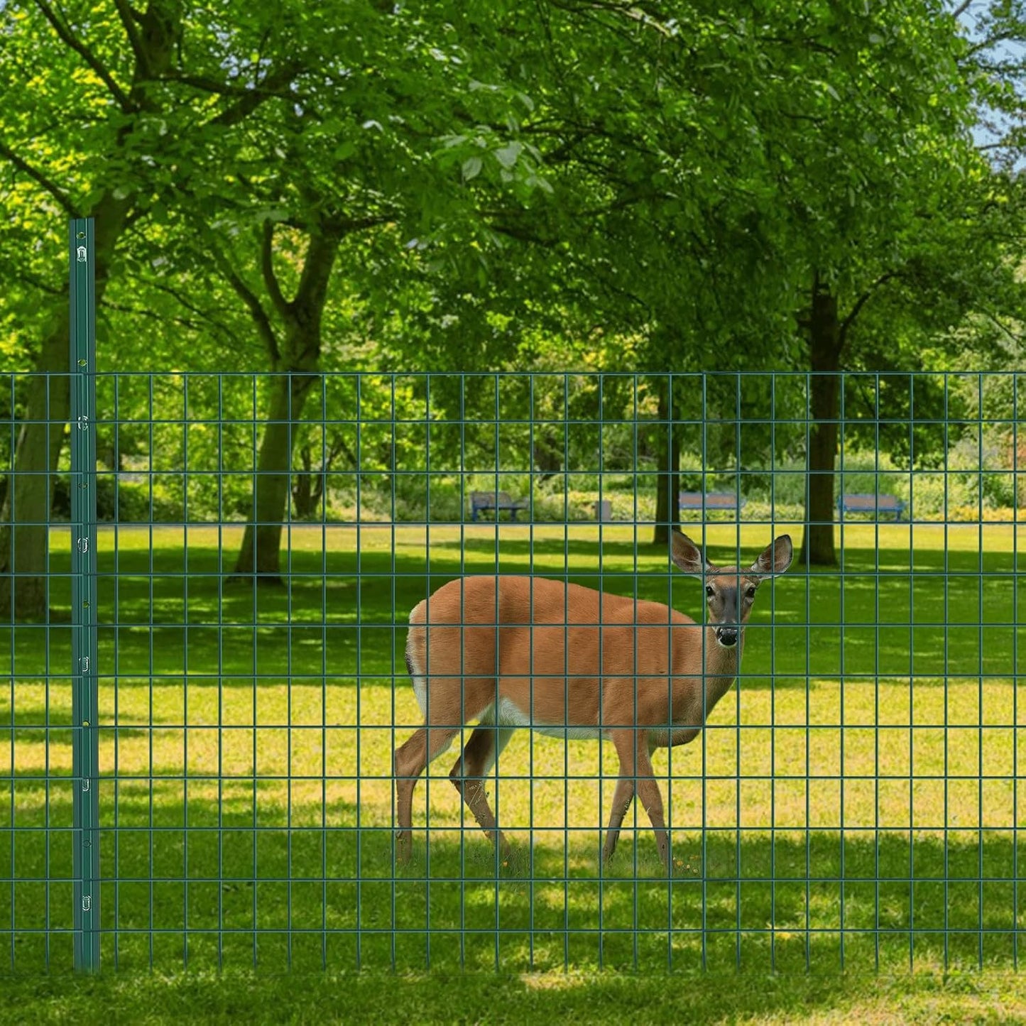 Welded Wire Fence, 50ft(L) x 36inch(H) PVC Coated Wire Fencing for Dog, 2 Inch x 3 Inch 16GA Fencing for Chicken, Anti-Rust Roll Metal Wire Mesh Fence for Yard Vegetable, Green