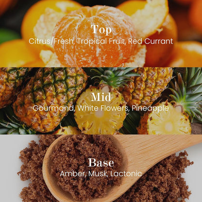 M&SENSE Natural Soy Candle| Sparkling Fruit Drops | 5.3 oz | Minimalist Scented Candle for Relaxation, Gifting, Home Décor | for Bedroom, Office, Party Small