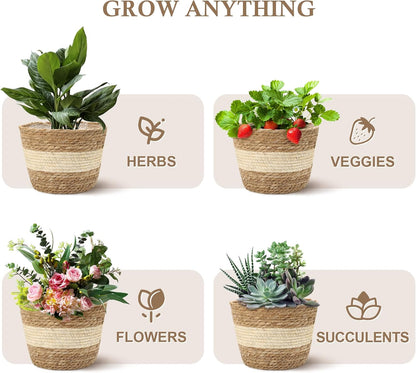 Athaliah Plant Basket, 3 PCS Plant Baskets Indoor with Plastic Liner, Water Hyacinth and Corn Stalk Woven Planters Flower Basket, Planter Basket for Rustic Home Floor Potted Pots Decor