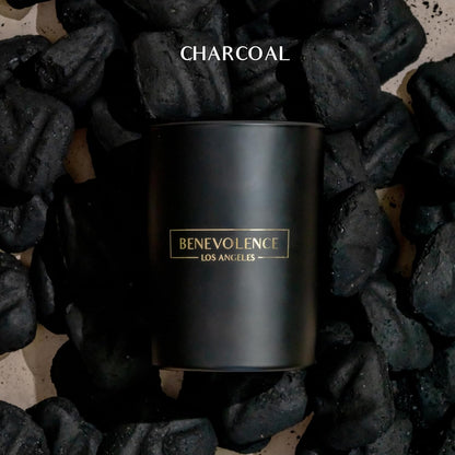 Benevolence LA Charcoal Scented Candle | Soy Candles, Black Candle for Home | Gifts for Women and Men | Home Fragrance | Aromatherapy | Bathroom Freshener | 10oz