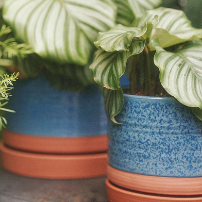 8 Inch Pots for Plants, Ceramic Planter Pot with Drainage Hole & Saucer, Indoor/Outdoor Cylinder Round Planter Pot, Blue & Terracotta