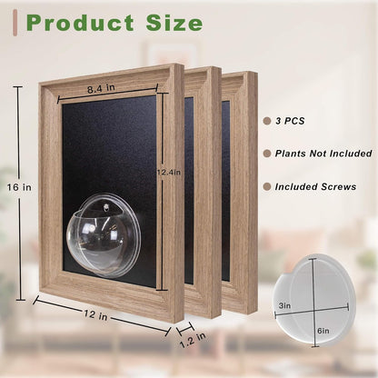 Walnut Wooden Frame Wall Hanging Planter for Hydroponic Plants，12'' x16''inch Wall Vase with Oblate-Shaped Acrylic Propagation Station，Bathroom, Office, or Living Room Decor, Set of 3