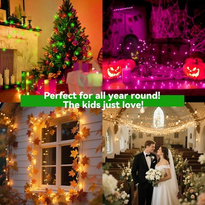 LitHome 200LED 66FT Led Fairy Lights Plug in, Color Changing Fairy Lights with Remote, 9 Modes Led String Lights Indoor Dimmable, Fairy String Lights for Fall Halloween Christmas Bedroom Dorm Decor