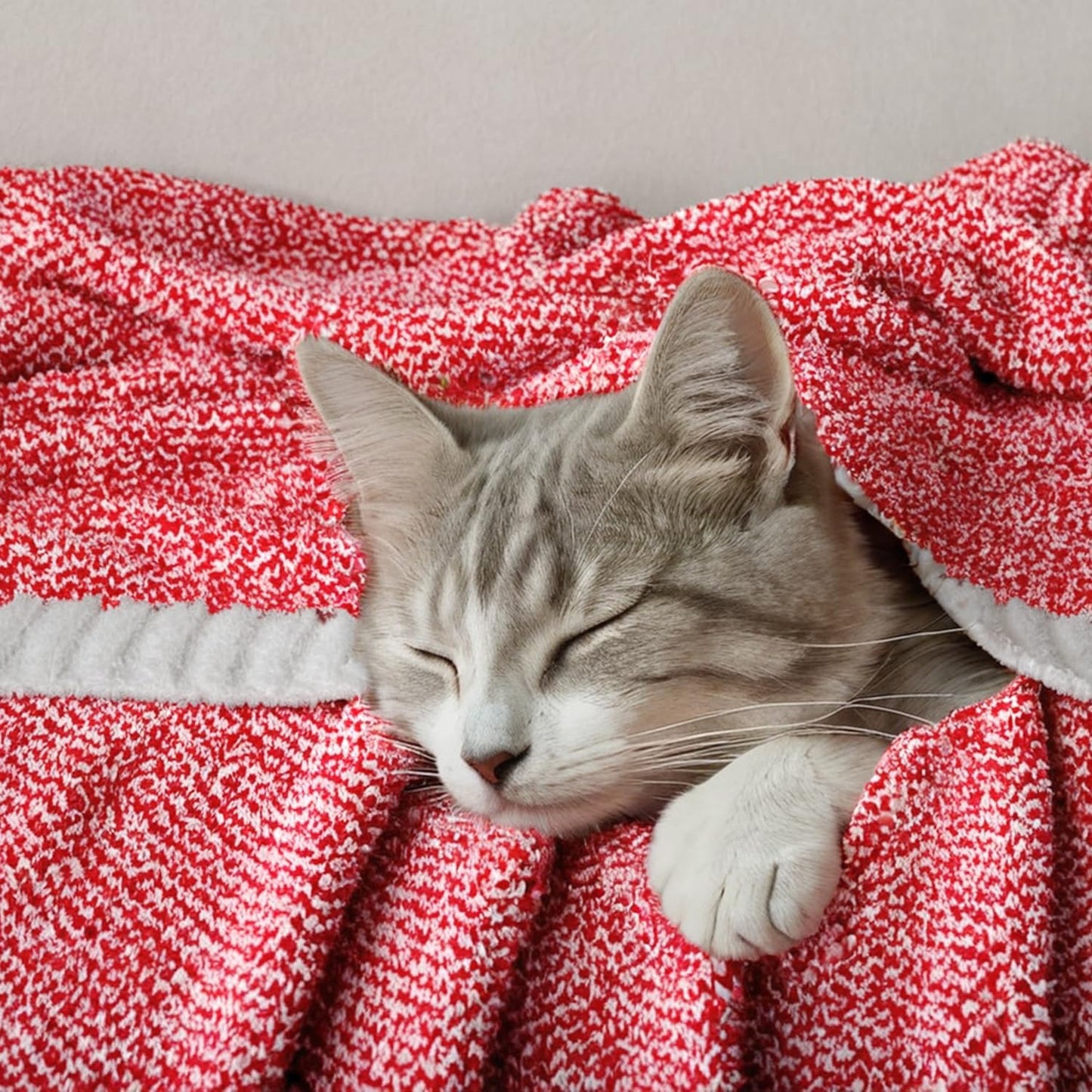 MIULEE Red Super Soft Throw Blanket for Couch, Cozy Fluffy Warm Blankets Lightweight Knit Throw Blankets for Sofa, Bed, Chair, Living Room, Camping, Picnic, 60 x 80 inch