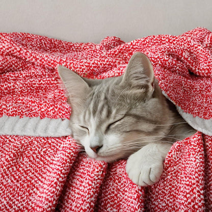 MIULEE Red Super Soft Throw Blanket for Couch, Cozy Fluffy Warm Blankets Lightweight Knit Throw Blankets for Sofa, Bed, Chair, Living Room, Camping, Picnic, 50 x 70 inch