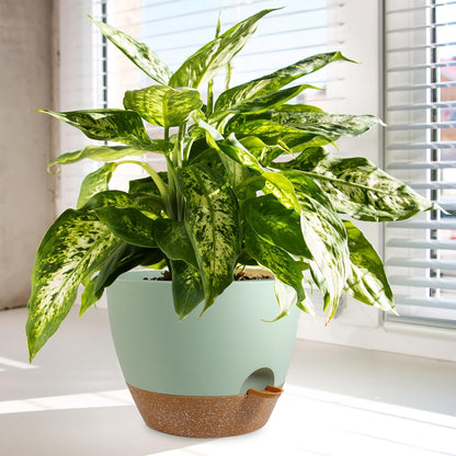 10/9/8 inch Self Watering Pots, Planter, Plant Pots with Mesh Drainage Holes for Indoor Outdoor Garden Plants, Plastic Flower Pots with Deep Reservoir for House Plants, Green with Brown