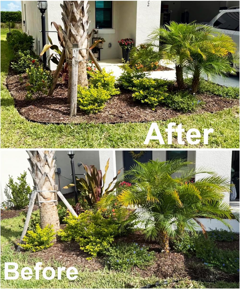 Landscape Edging Border 33FTx 4 Inch Tall, Plastic Garden Borders Edging with 30 Spikes,Flexible Lawn Edging Edge for Garden,Grass,Flower Beds, Yard, Paver,Pathway-Black