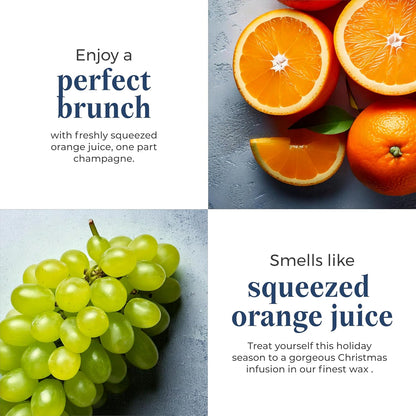 PartyLite 3-Wick Jar Candle, Highly Fragranced Clean Burning Glass Candle, 25-45 Hours Burn Time (Merry Mimosa)