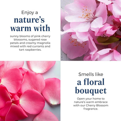 PartyLite 3-Wick Jar Candle, Highly Fragranced Clean Burning Glass Candle, 25-45 Hours Burn Time (Cherry Blossom)