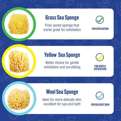 Baby Buddy Baby Bath 4in Yellow Sea Sponge, Absorbent Natural Sea Sponge, Soft on Tender Skin, Biodegradable, Hypoallergenic, Bath Accessories for Bathing, 3 Pack