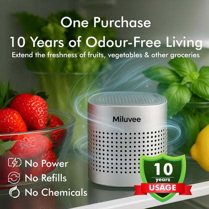 Premium Refrigerator Deodorizer, 10-Year Reusable Odor Eliminator for Car, Closet, Fridge, Shoe, Basement | No Power, No Refill, No Scent Air Purifier, Outperforms Baking Soda Charcoal Bags
