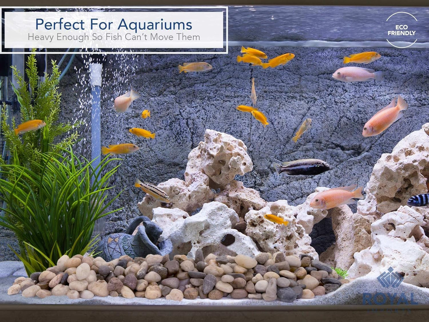 Royal Imports 30LBS River Rocks Decorative Ornamental Pebbles, Garden Landscaping Stones, Gravel Filler for Plants, Vases, Succulents, Home Decor, Aquariums, Crafting, Animal Habitat - Small Natural