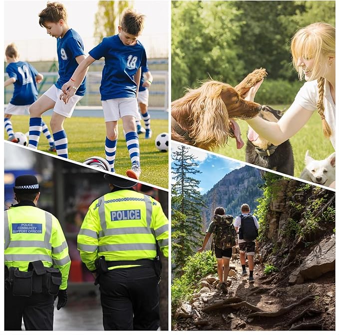 6Pack Stainless Steel Whistle with Lanyard, Loud Crisp Sound Whistle Ideal for Coaches, Referees, and Official