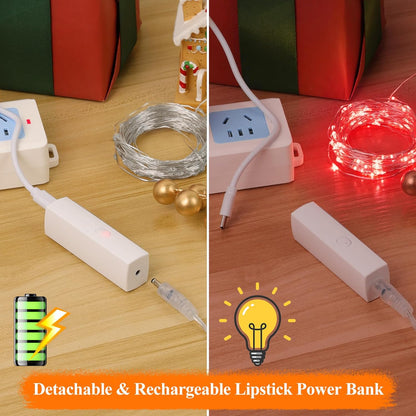 Lakumu LED Fairy Lights Battery Operated, Rechargeable String Lights with Timer, Mini Twinkle Lights for Bedroom, Christmas Decorations, Wedding, Vine, Centerpiece Table Decor (5M/16FT Red)