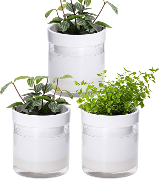 Phoenix Vine 4 Inch Self Watering Planter, White Terracotta Clay Pot with Glass Reservoir for Indoor Plants, Herbs, Flowers, Set of 3, 52-B-E-3